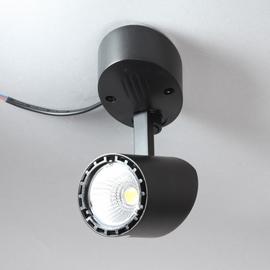 Светильник накладной S25009BK-C LED